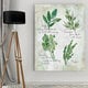 preview thumbnail 3 of 2, Carol Robinson 'Fresh Herbs II' Gallery Wrapped Canvas Wall Art