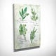 preview thumbnail 2 of 2, Carol Robinson 'Fresh Herbs II' Gallery Wrapped Canvas Wall Art