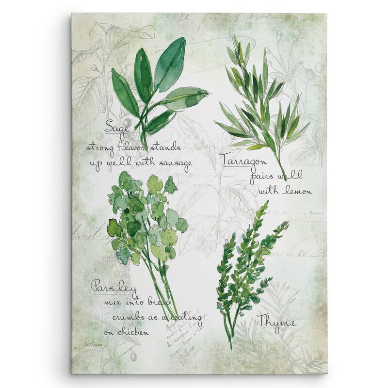 Carol Robinson 'Fresh Herbs II' Gallery Wrapped Canvas Wall Art