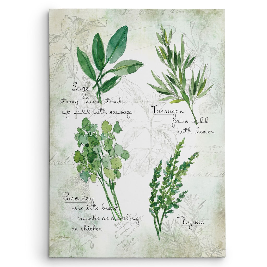 Carol Robinson 'Fresh Herbs II' Gallery Wrapped Canvas Wall Art