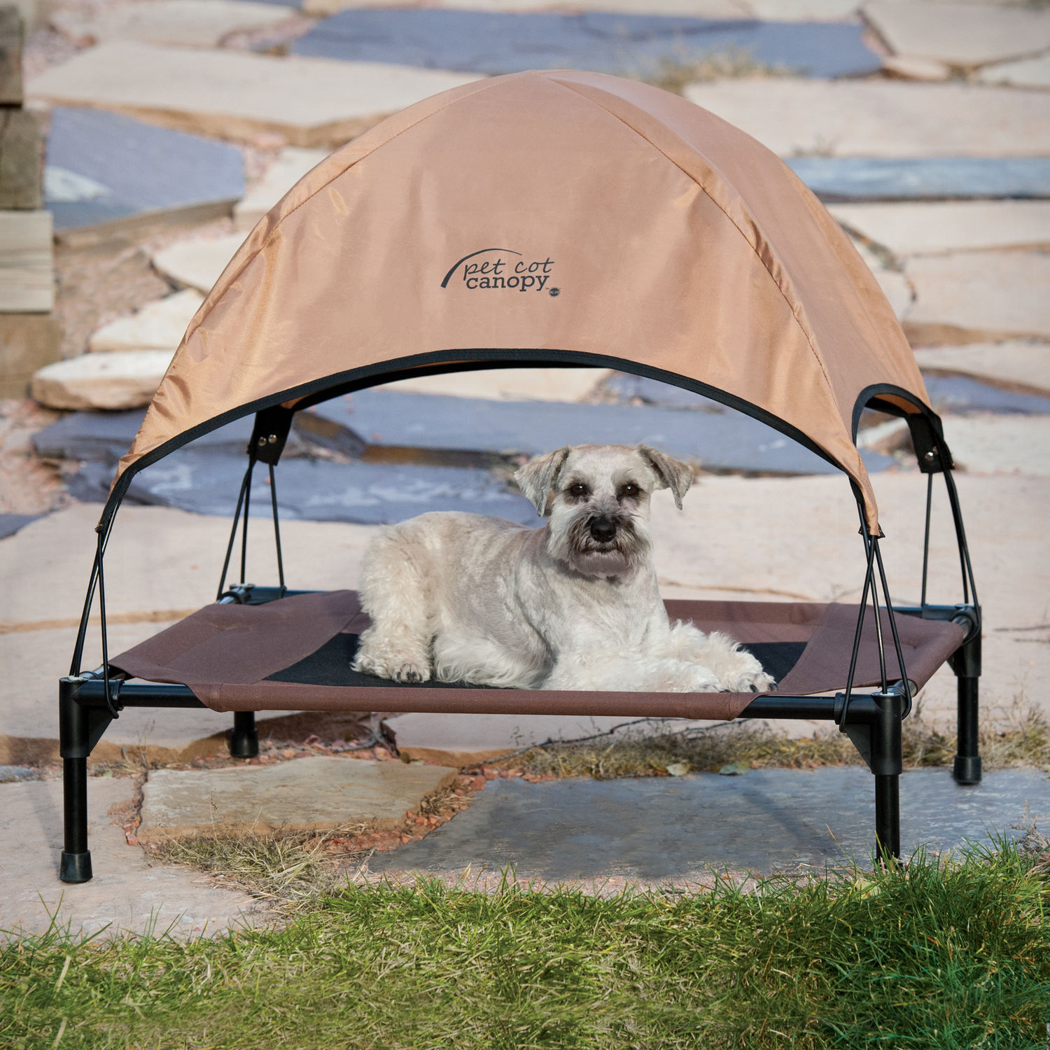 Pet cot hot sale and canopy