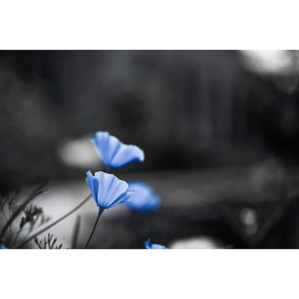 Marmont Hill - 'Periwinkle Grace' by Morgan J Hartley Painting Print on Wrapped Canvas - Multi-Color