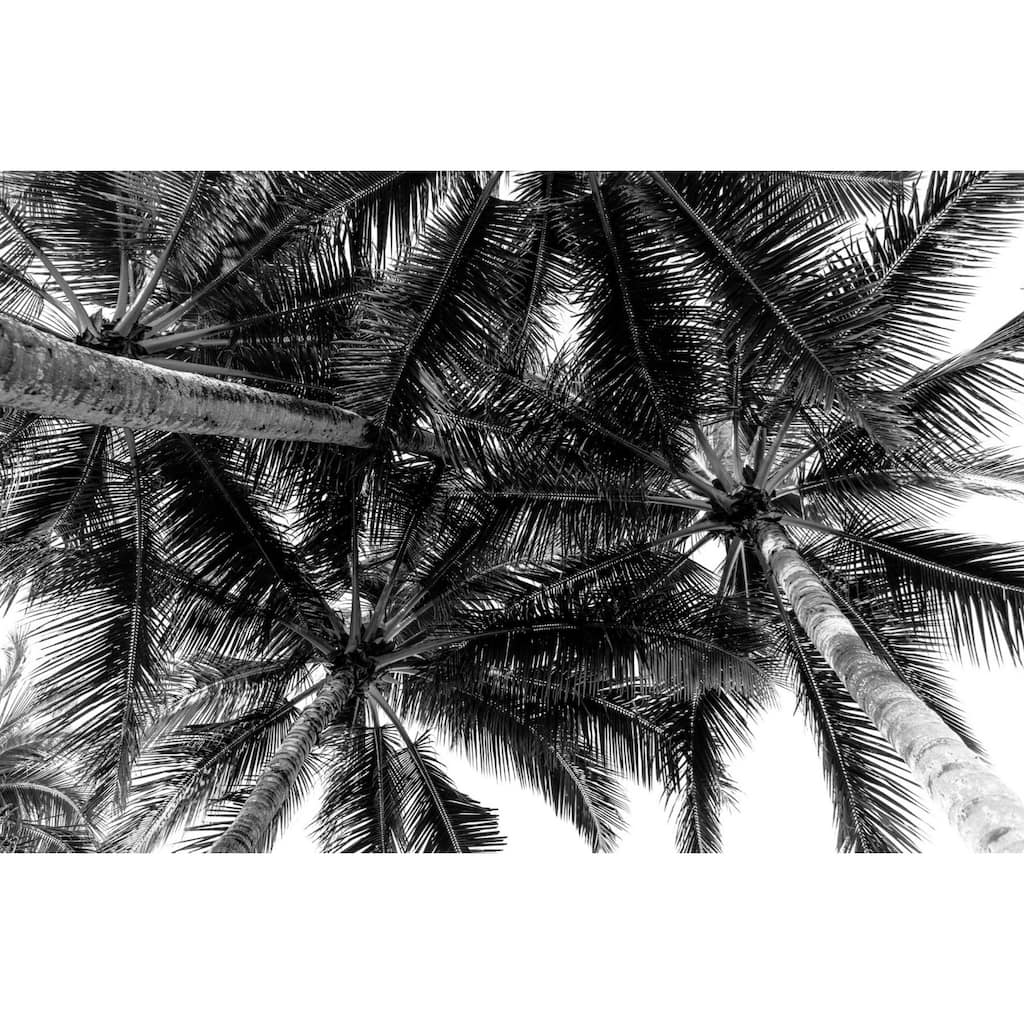 Marmont Hill - Multi-color