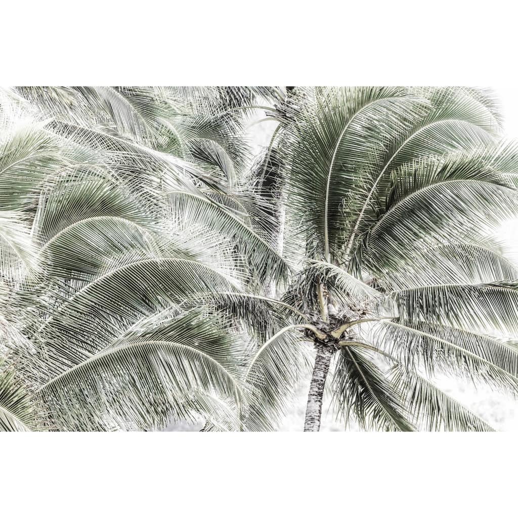 Marmont Hill - 'Tropical Trees' by Morgan J Hartley Painting Print on Wrapped Canvas - Multi-Color