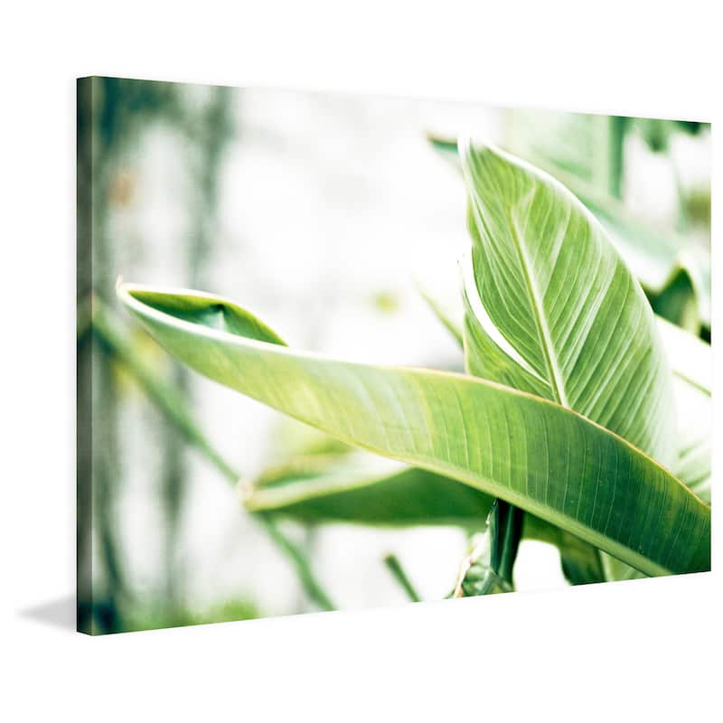 Marmont Hill - Handmade Banana Leaves II Print on Wrapped Canvas - On ...