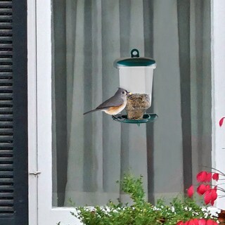 Top Product Reviews For Pure Garden Window Bird Feeder 5 5 X 4 X