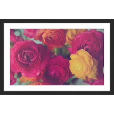 Marmont Hill - 'Ranunculus Fuchsia' Framed Painting Print - Multi-Color