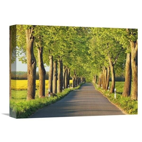 slide 2 of 4, Global Gallery Frank Krahmer 'Lime tree alley, Mecklenburg Lake District, Germany' Stretched Canvas Artwork