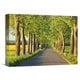 preview thumbnail 1 of 2, Global Gallery Frank Krahmer 'Lime tree alley, Mecklenburg Lake District, Germany' Stretched Canvas Artwork