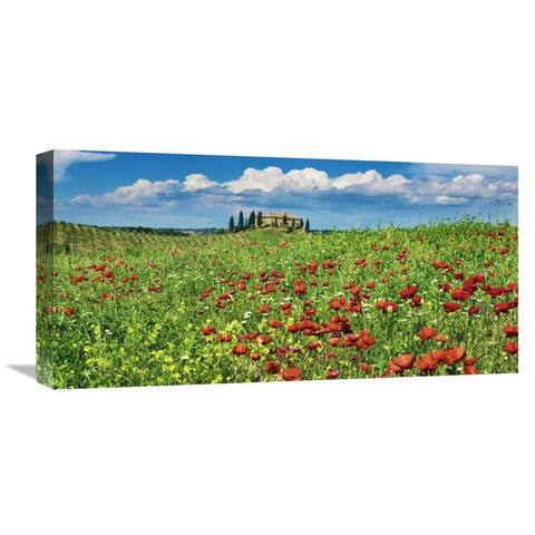 Global Gallery Frank Krahmer 'Farm house with cypresses and poppies, Tuscany, Italy' Stretched Canvas Artwork