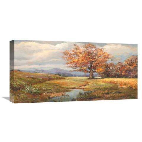 Global Gallery Francesco Cerana 'Sorgente nella radura' Stretched Canvas Artwork