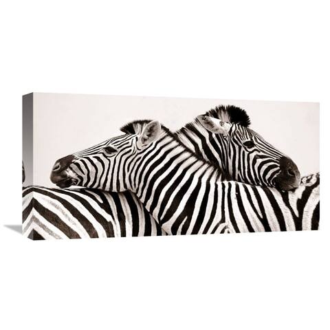 Global Gallery Anonymous Zebras in love Stretched Canvas Artwork