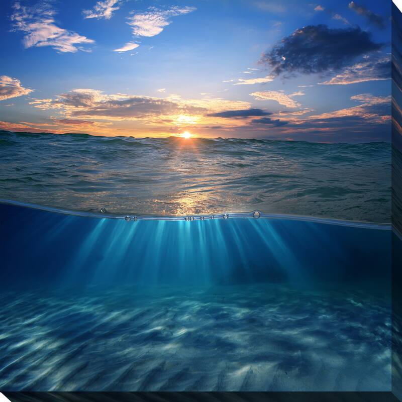 "Underwater 3" Giclee Print Canvas Wall Art