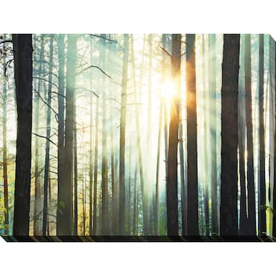 "Sunset in the Woods" Giclee Print Canvas Wall Art