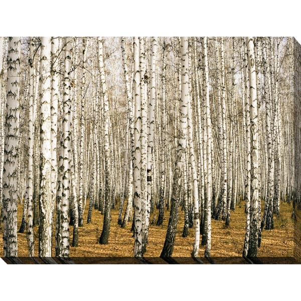 "Birch Trees 3" Giclee Print Canvas Wall Art Bed Bath & Beyond 13742712