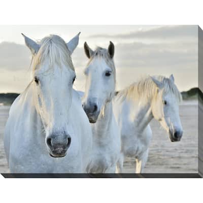 "White Horses" Giclee Print Canvas Wall Art