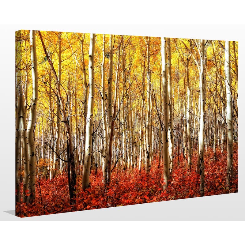 "Birch Trees" Giclee Print Canvas Wall Art