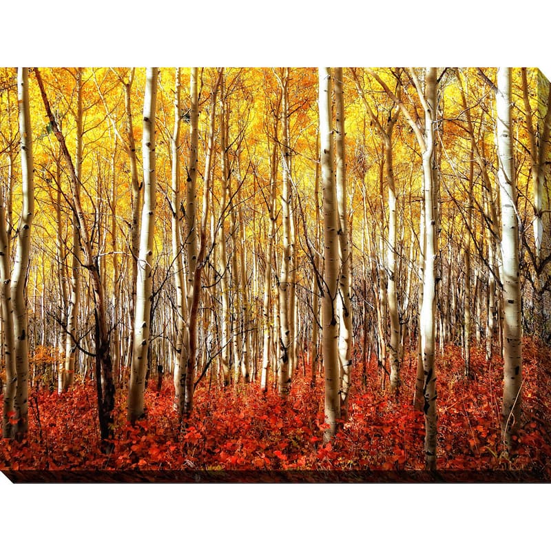 "Birch Trees" Giclee Print Canvas Wall Art