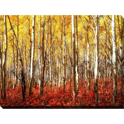 "Birch Trees" Giclee Print Canvas Wall Art