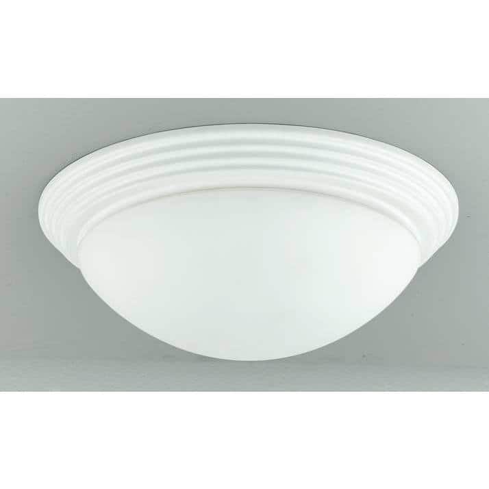 75-watt 2-light Ceiling Lamp