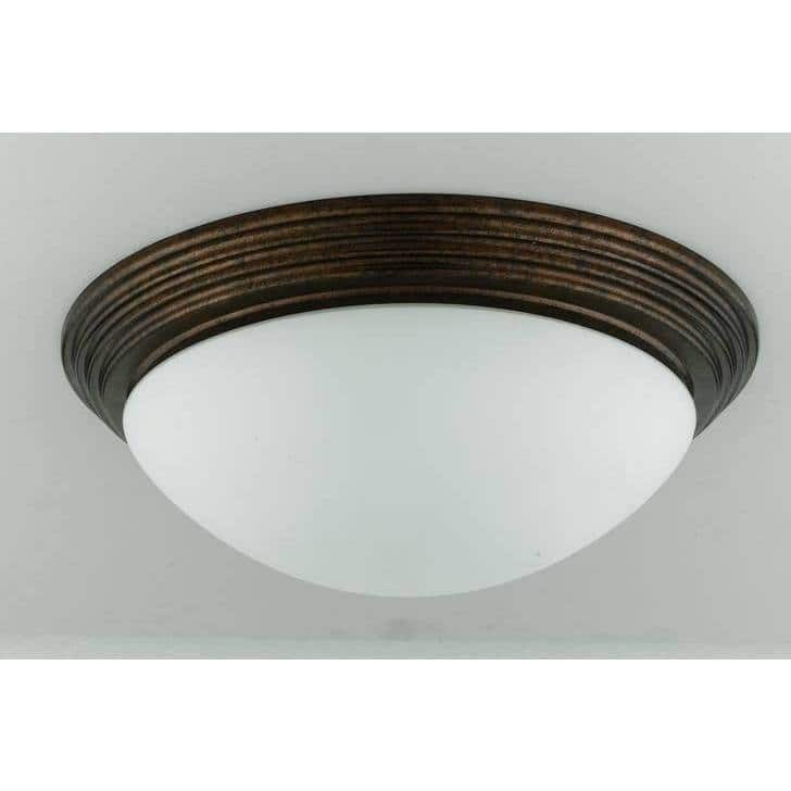 2-light 60-watt Ceiling Lamp
