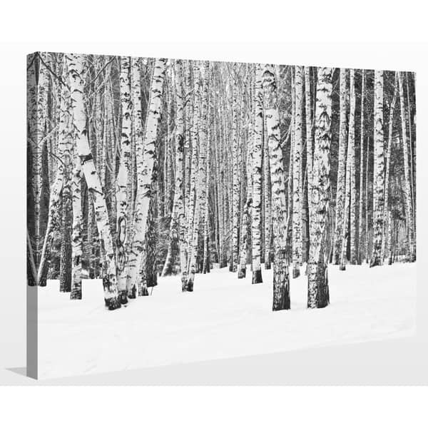 birch tree canvas wall decor