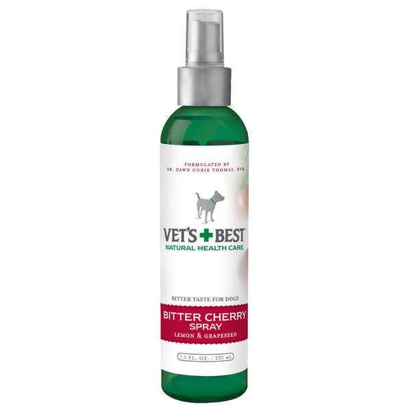 Best dog outlet deterrent spray