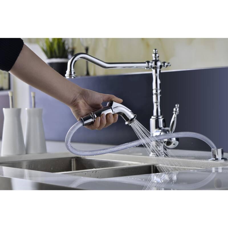 ANZZI Locke Single-Handle Standard Kitchen Faucet with Side Sprayer in Polished Chrome