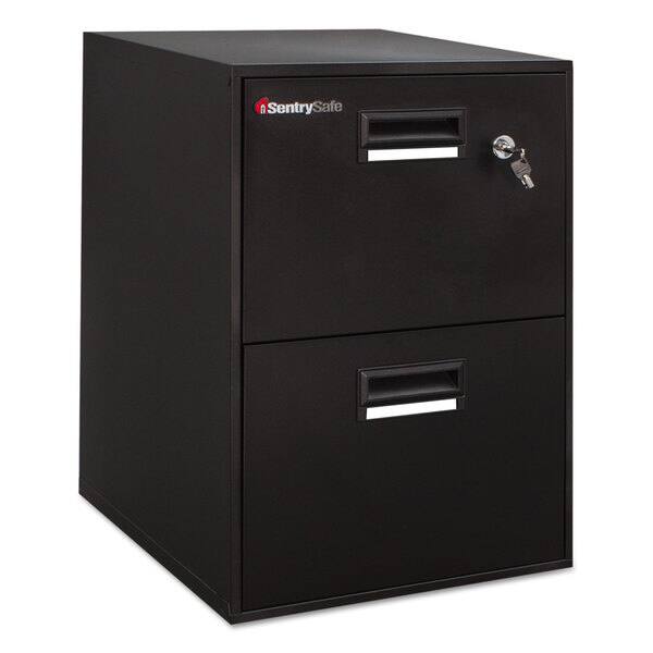 Shop Sentry Safe Fire Safe Two Drawer Water Resistant Fire File