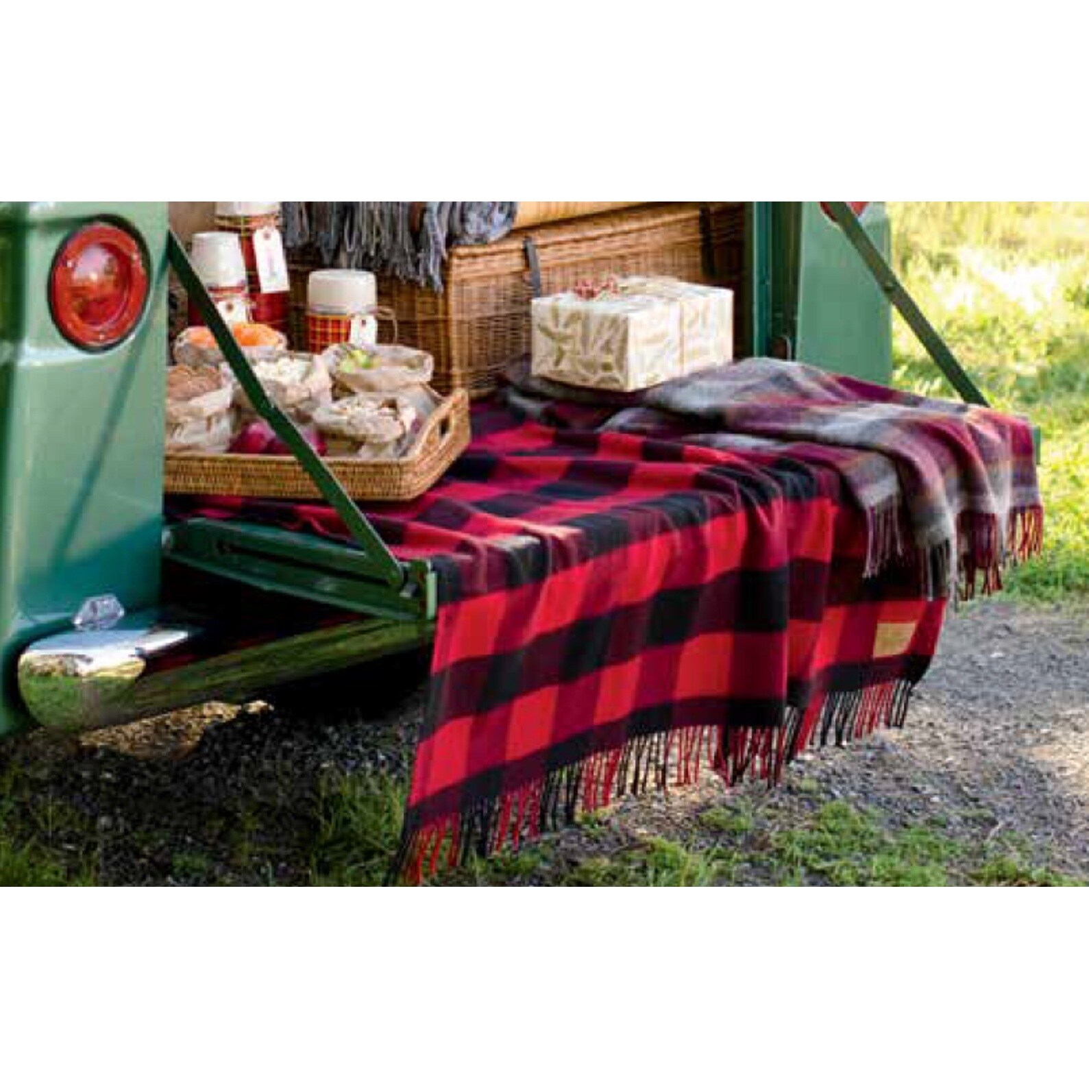 Pendleton carry along motor robe online blanket