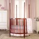 preview thumbnail 2 of 1, Dream On Me, Sophia Posh Circular Crib - Espresso