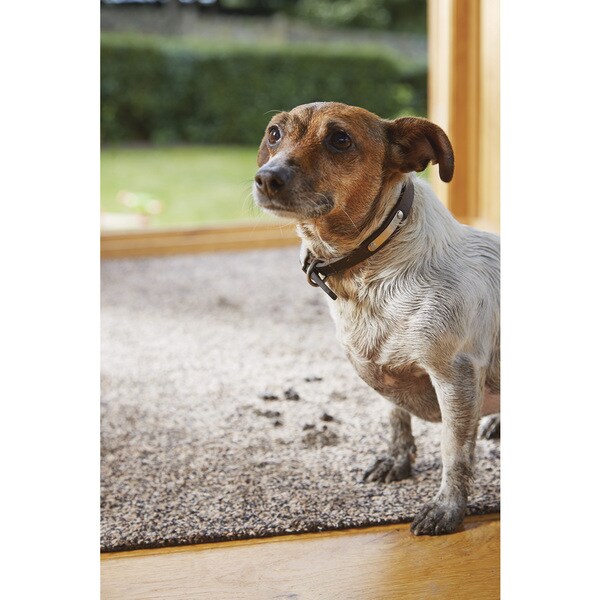Muddle Mat Absorbent Solid Color Cotton Washable Accent Rug - 1'8" x 2'6"