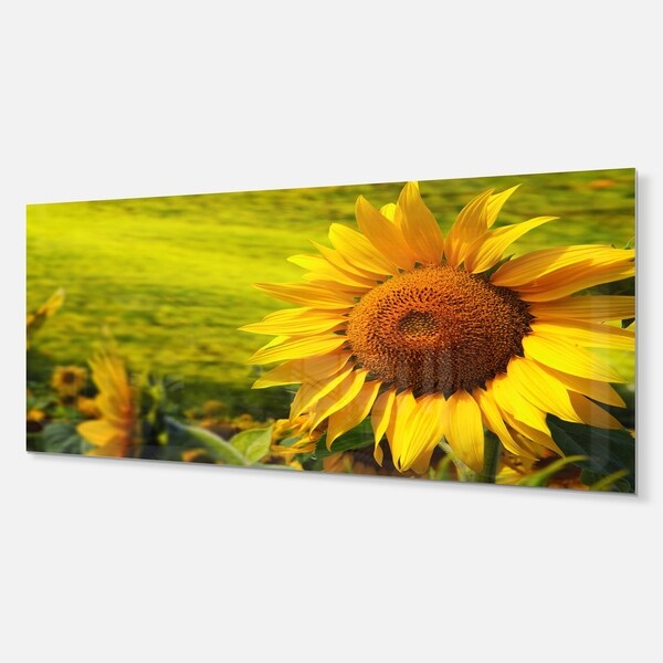 Tuscan Sunflowers Red Wine Kitchen Home Decor Metal Light Switch Plate Cover 