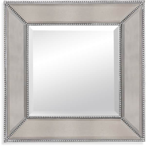 Basset Caprice Wall Mirror With Clear Resin Frame Overstock 13829846