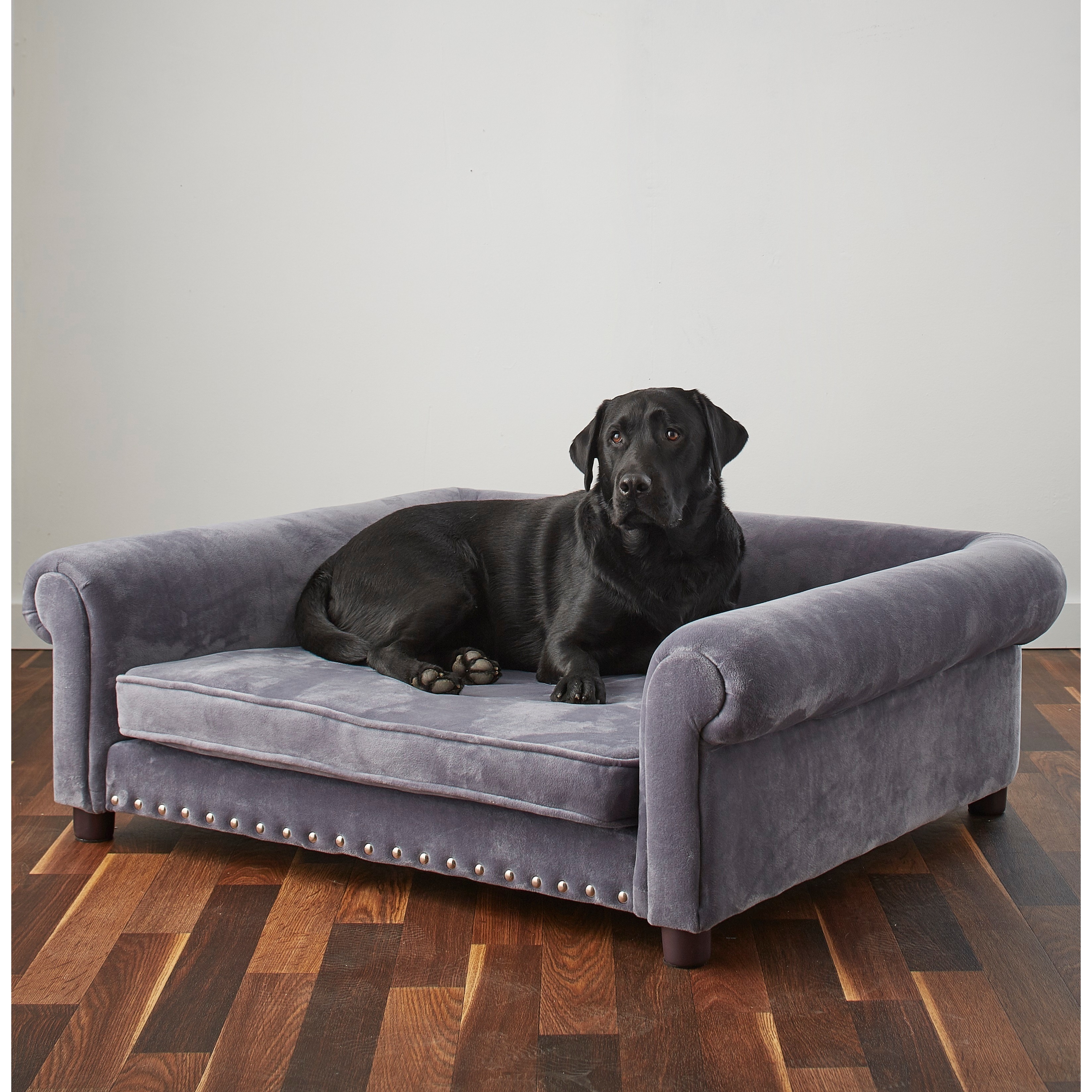 gray dog couch