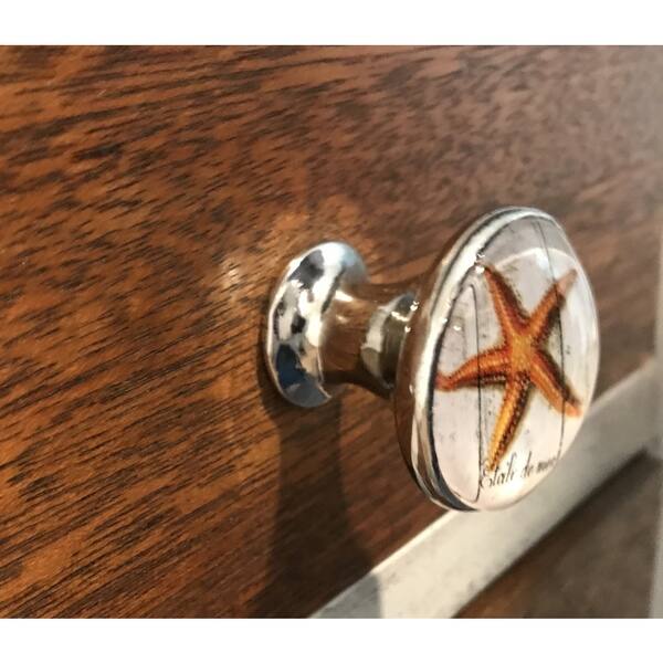 Shop Orange Ocean Beach Starfish Glass Knobs Pulls Pack Of 6