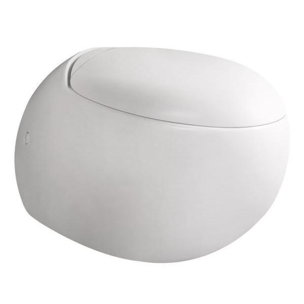 swiss madison wall hung toilet