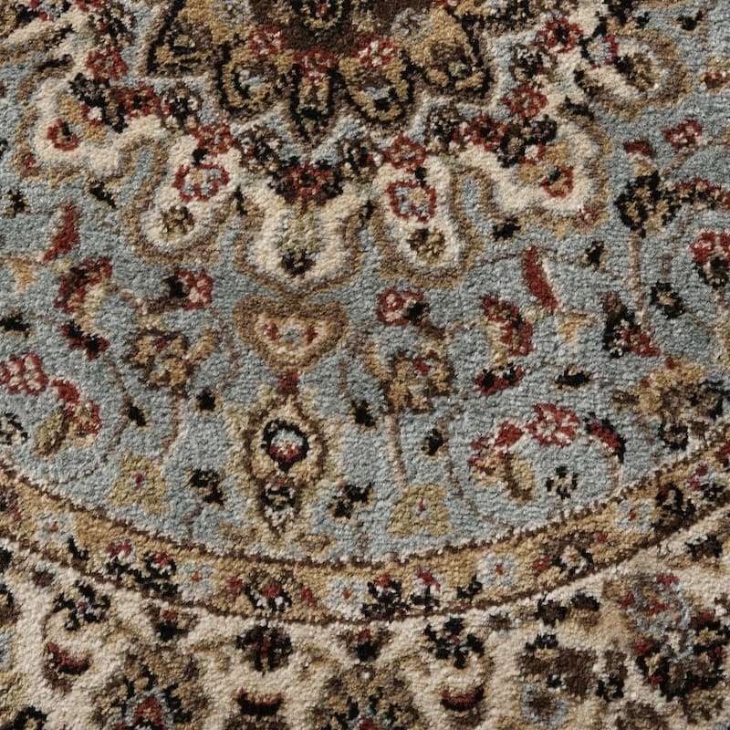 Nourison Delano Traditional Persian Medallion Border Area Rug