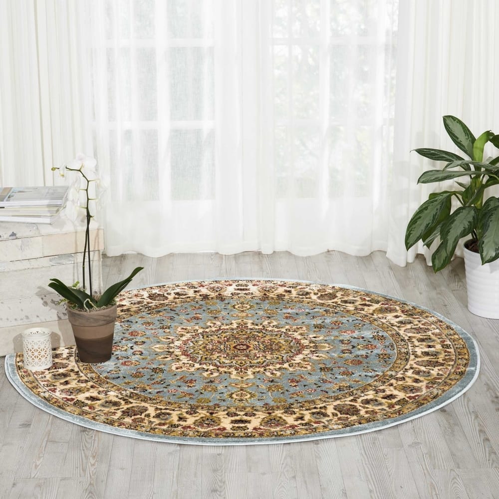Nourison Delano Traditional Persian Medallion Border Area Rug