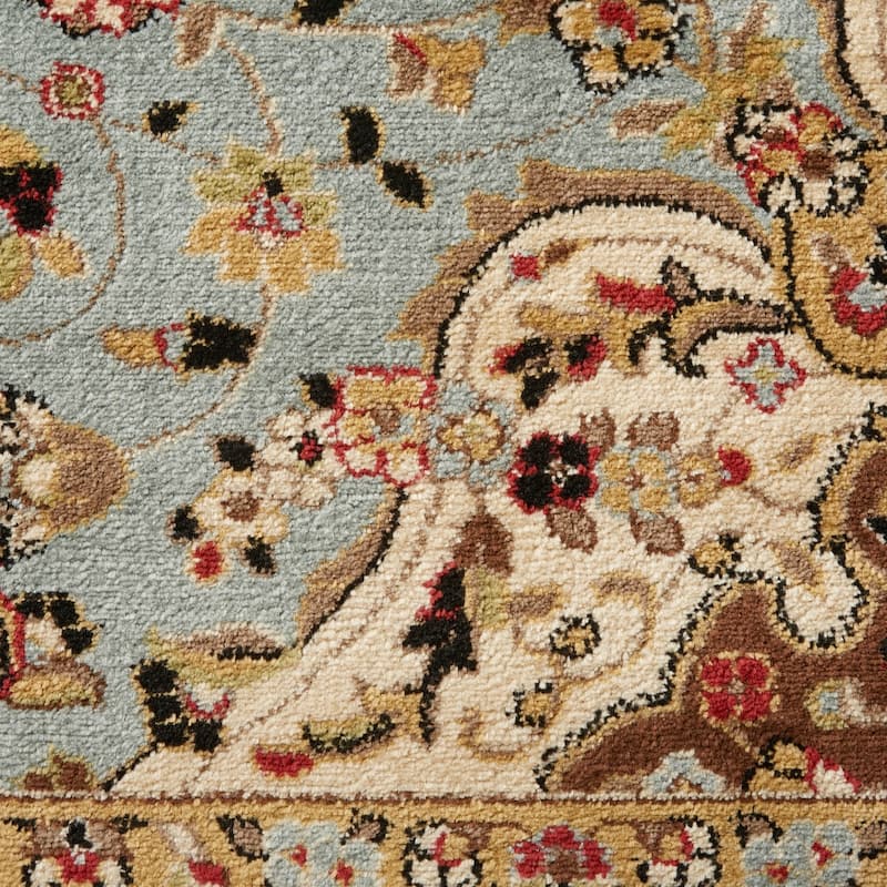 Nourison Delano Traditional Persian Medallion Border Area Rug