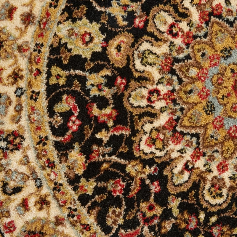 Nourison Delano Traditional Persian Medallion Border Area Rug
