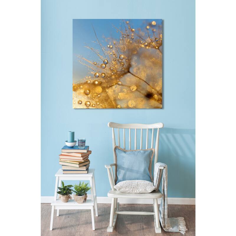 "Dewy dandelion flower at sunset close up" Giclee Print Canvas Wall Art