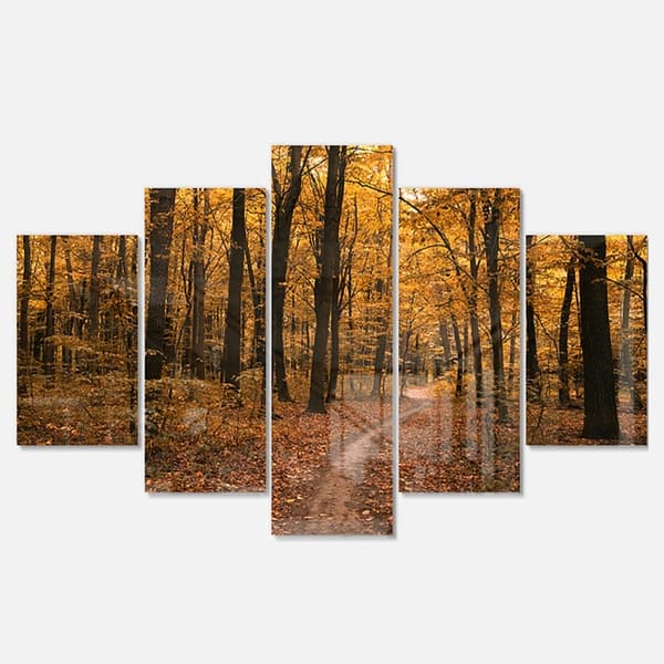 Designart 'Path in the Yellow Fall Forest' Modern Forest Glossy Metal ...