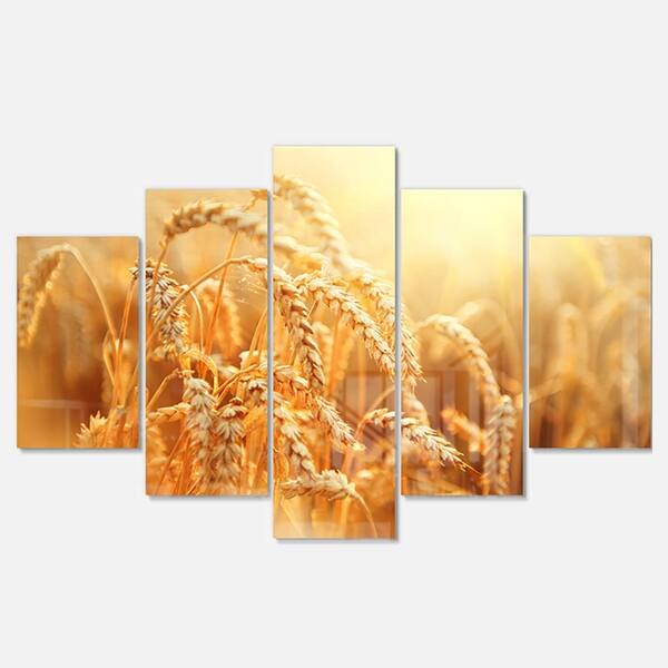Shop Designart Ears Of Golden Wheat Close Up Landscape Metal Wall Art Overstock 13966025