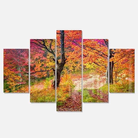 Designart 'Bright Colorful Fall Trees in Forest' Large Landscape Art Glossy Metal Wall Art