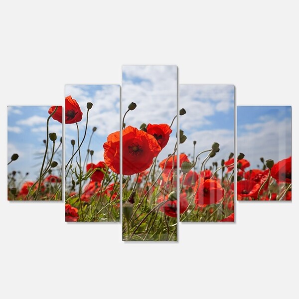 Metal Light Switch Plate Cover Vintage Fruit Crate Home Decor Poppy Flowers 