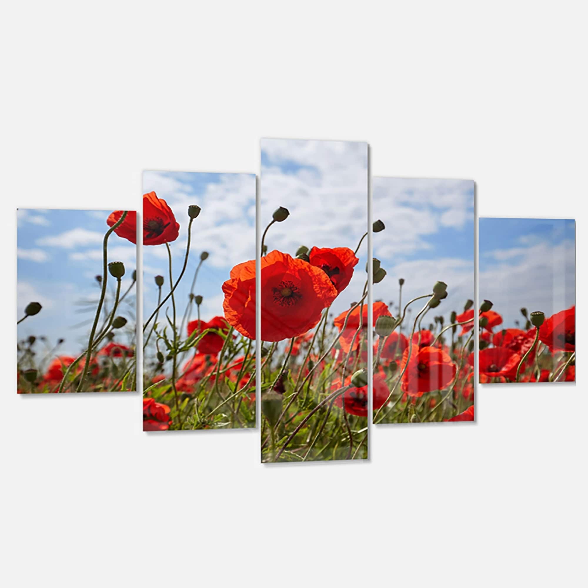 Poppy Floral Flowers Red Picture CANVAS WALL ART Portrait Print 
