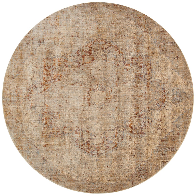 Alexander Home Contessa Traditional Medallion Desert Distressed Rug