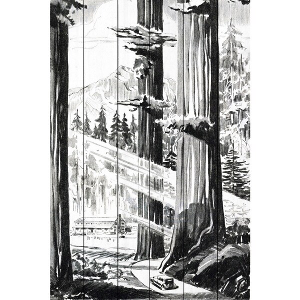 Marmont Hill - Handmade Redwoods Painting Print on White Wood