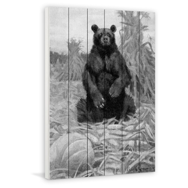 Marmont Hill - Handmade Bear in Hay BW Painting Print on White Wood